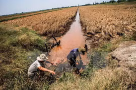 Les impacts de la sécheresse et de la salinisation au menu du MDEC
