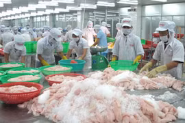 Les entreprises aquatiques péruviennes recherchent des opportunités d’affaires au Vietnam