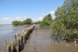 Séminaire sur l’application de l’accord de Paris sur le changement climatique