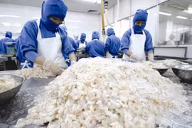 Vietnam : le PMI descend de 0,7 point en juillet 