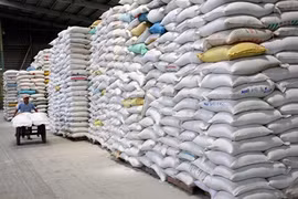 Riz : la Thaïlande tente d'écouler ses réserves, le marché vietnamien pourrait être perturbé