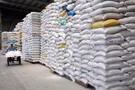 Des difficultés pour les exportations de riz vietnamien