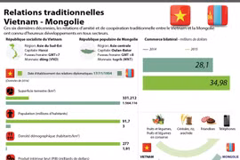 Relations de coopération traditionnelle Vietnam-Mongolie