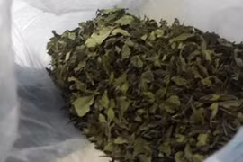 Démantèlement d'un réseau de trafic de drogue au Vietnam par voie postale
