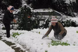 Sa Pa en hiver 