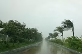 La tempête Dianmu frappe les provinces de Hai Phong et de Thai Binh
