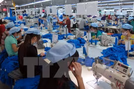 ALE Vietnam-Union économique eurasienne : 5.000 lignes tarifaires seront supprimées