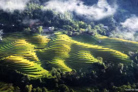 Hoang Su Phi se prépare à la 2e Semaine culturelle et touristique des rizières en terrasses 2016