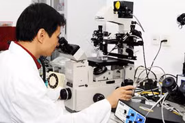 Les scientifiques vietnamiens reçoivent quatre subventions du programme PEER