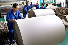 Chômeurs à 35 ans : la tragédie paradoxale des ouvriers vietnamiens