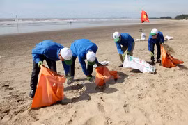 Ouverture du programme de volontariat «Assainir la mer»