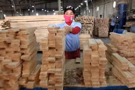 Le "bois légal" du Vietnam peut rentrer sur le marché européen