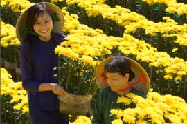 Cai Mon ou l’âme de la floriculture du delta du Mékong