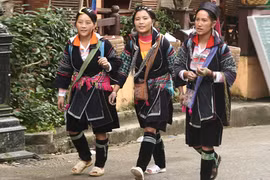 La brocatelle multicolore des H’Mong du Nord-Ouest 