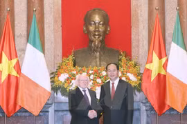 Vietnam et Irlande souhaitent promouvoir les relations de coopération multiforme 