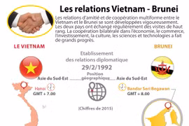 Les relations Vietnam - Brunei en infographie