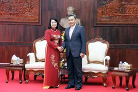 Vietnam-Laos : coopération entre les deux Fronts de la Patrie 