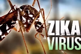 Renforcement des mesures de prévention et de lutte contre Zika