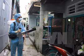 Deux nouveaux cas de Zika découverts à Hô Chi Minh-Ville