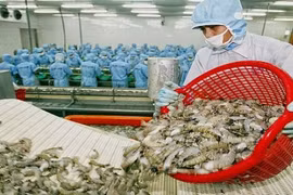 Les États-Unis maintiennent les droits sur les crevettes congelées vietnamiennes