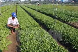 Quang Ninh appelle les entreprises à investir dans l'agriculture