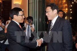 Tenue de la 8e session du Comité de coopération Vietnam-Japon