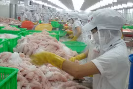 Maruha Nichiro renforce ses importations de pangasius du Vietnam