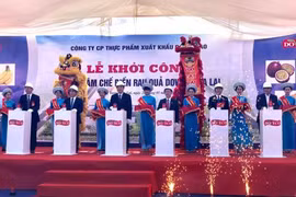 Mise en chantier du plus grand centre de transformation de fruits et légumes au Vietnam 