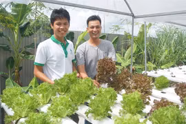 L’agriculture intelligente, une tendance dans le delta du Mékong