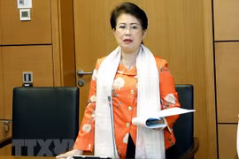 Révocation de la secrétaire adjointe du Comité du Parti de Dong Nai Phan Thi My Thanh