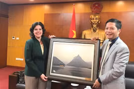 Pour une coopération économique vietnamo - cubaine plus fructueuse