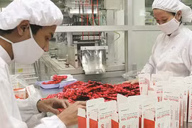 Vietnam-Inde : Rencontre d'entreprises dans le domaine de la santé 