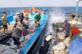 Aquaculture : le Vietnam adhère à l’accord PSMA de la FAO