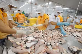 Accélérer les exportations des produits aquatiques vers le Brésil