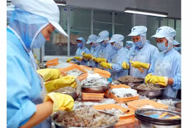 L’UE, premier marché importateur de crevettes vietnamiennes
