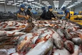 Le Vietnam exportera deux milliards de dollars de pangasius en 2018