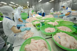 An Giang : plus de 276 millions de dollars des exportations de riz et de pangasius 