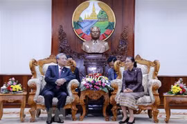 Promotion des relations spéciales Vietnam - Laos