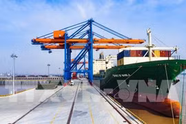 Mise en service du port en eau profonde de Nam Dinh Vu à Hai Phong