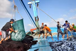Bon signe pour les exportations de produits aquatiques en janvier