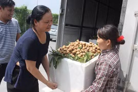 Hanoï exporte 19 tonnes de longanes aux Etats-Unis et en Europe