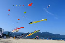 Fête des cerfs-volants haute en couleurs à Dà Nang