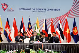Le Vietnam assiste à des réunions du SEANWFZ et de l’AICHR à Singapour