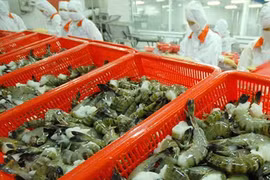 Aquaculture : L’objectif de 10 milliards de dollars d’exportation en 2018 s’avère difficile