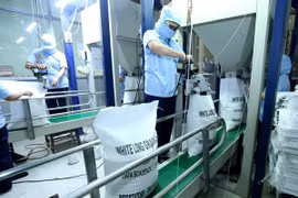 L’Égypte importera 1 million de tonnes de riz vietnamien