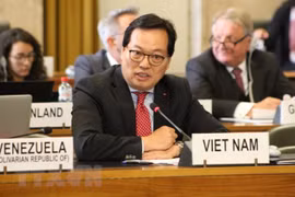 Le Vietnam souligne l'importance du désarmement nucléaire au nom du G21