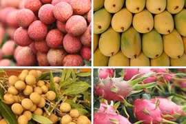 Les exportations de fruits et légumes du Vietnam devrait dépasser 4 milliards de dollars