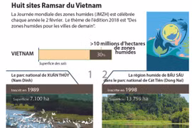 Huit sites Ramsar du Vietnam 