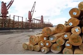  Doper les exportations du bois en 2018