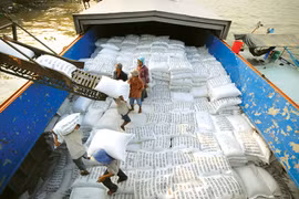 Bon début d’année pour les exportations nationales de riz 